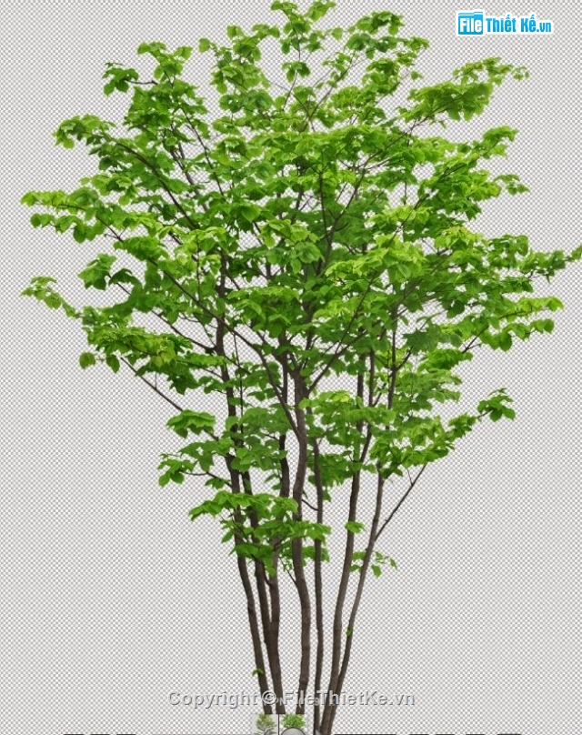 400 MB Thư viện Photoshop cây - dạng PNG (bản đẹp) - Ảnh 2